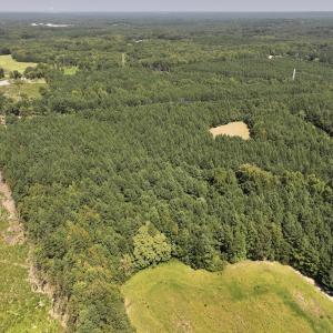 Photo #16 of SOLD property in Off Todd Road and Virgilina Road, Roxboro, NC 31.4 acres