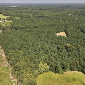 Photo #17 of SOLD property in Off Todd Road and Virgilina Road, Roxboro, NC 31.4 acres