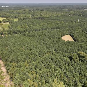 Photo #18 of SOLD property in Off Todd Road and Virgilina Road, Roxboro, NC 31.4 acres