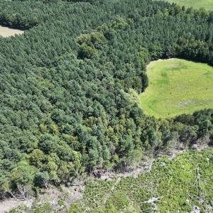 Photo #19 of SOLD property in Off Todd Road and Virgilina Road, Roxboro, NC 31.4 acres