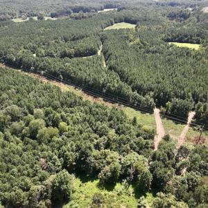 Photo #2 of SOLD property in Off Todd Road and Virgilina Road, Roxboro, NC 31.4 acres