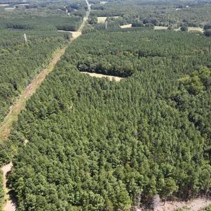 Photo #20 of SOLD property in Off Todd Road and Virgilina Road, Roxboro, NC 31.4 acres