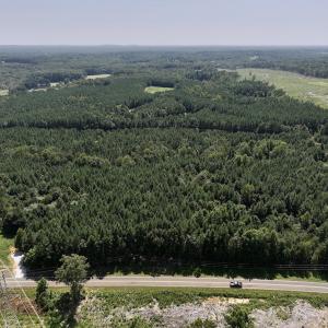 Photo #3 of SOLD property in Off Todd Road and Virgilina Road, Roxboro, NC 31.4 acres