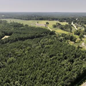 Photo #4 of SOLD property in Off Todd Road and Virgilina Road, Roxboro, NC 31.4 acres