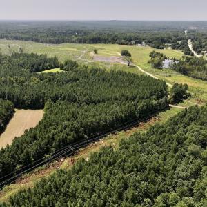 Photo #6 of SOLD property in Off Todd Road and Virgilina Road, Roxboro, NC 31.4 acres