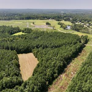 Photo #7 of SOLD property in Off Todd Road and Virgilina Road, Roxboro, NC 31.4 acres