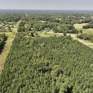 Photo #8 of SOLD property in Off Todd Road and Virgilina Road, Roxboro, NC 31.4 acres