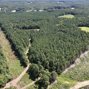 Photo #21 of SOLD property in Off Todd Road and Virgilina Road, Roxboro, NC 31.4 acres