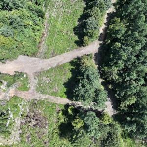 Photo #22 of SOLD property in Off Todd Road and Virgilina Road, Roxboro, NC 31.4 acres