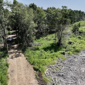 Photo #23 of SOLD property in Off Todd Road and Virgilina Road, Roxboro, NC 31.4 acres