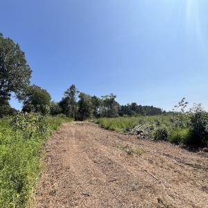 Photo #26 of SOLD property in Off Todd Road and Virgilina Road, Roxboro, NC 31.4 acres