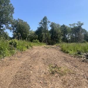 Photo #27 of SOLD property in Off Todd Road and Virgilina Road, Roxboro, NC 31.4 acres