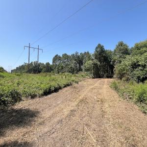 Photo #28 of SOLD property in Off Todd Road and Virgilina Road, Roxboro, NC 31.4 acres