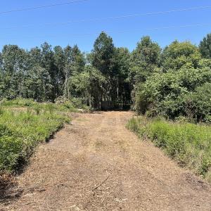 Photo #30 of SOLD property in Off Todd Road and Virgilina Road, Roxboro, NC 31.4 acres