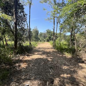 Photo #32 of SOLD property in Off Todd Road and Virgilina Road, Roxboro, NC 31.4 acres