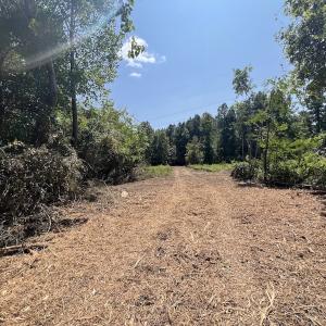 Photo #33 of SOLD property in Off Todd Road and Virgilina Road, Roxboro, NC 31.4 acres