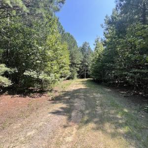 Photo #34 of SOLD property in Off Todd Road and Virgilina Road, Roxboro, NC 31.4 acres