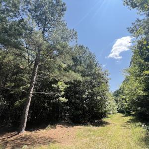 Photo #36 of SOLD property in Off Todd Road and Virgilina Road, Roxboro, NC 31.4 acres