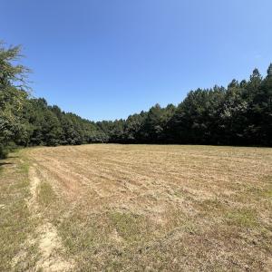 Photo #37 of SOLD property in Off Todd Road and Virgilina Road, Roxboro, NC 31.4 acres