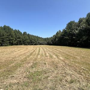 Photo #38 of SOLD property in Off Todd Road and Virgilina Road, Roxboro, NC 31.4 acres
