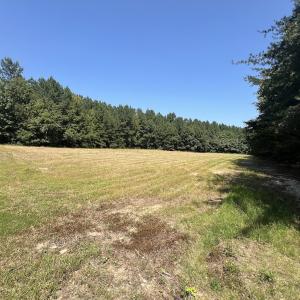 Photo #39 of SOLD property in Off Todd Road and Virgilina Road, Roxboro, NC 31.4 acres