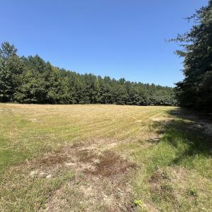 Photo #40 of SOLD property in Off Todd Road and Virgilina Road, Roxboro, NC 31.4 acres