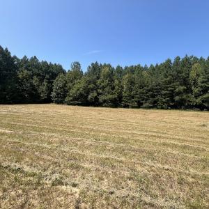Photo #41 of SOLD property in Off Todd Road and Virgilina Road, Roxboro, NC 31.4 acres