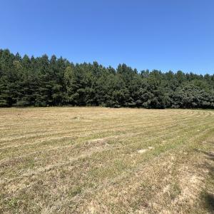 Photo #43 of SOLD property in Off Todd Road and Virgilina Road, Roxboro, NC 31.4 acres