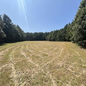 Photo #44 of SOLD property in Off Todd Road and Virgilina Road, Roxboro, NC 31.4 acres