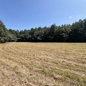 Photo #45 of SOLD property in Off Todd Road and Virgilina Road, Roxboro, NC 31.4 acres