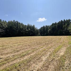 Photo #46 of SOLD property in Off Todd Road and Virgilina Road, Roxboro, NC 31.4 acres