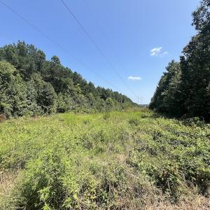 Photo #47 of SOLD property in Off Todd Road and Virgilina Road, Roxboro, NC 31.4 acres