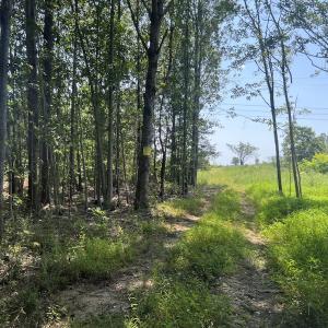 Photo #48 of SOLD property in Off Todd Road and Virgilina Road, Roxboro, NC 31.4 acres