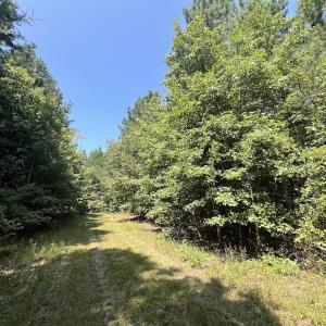 Photo #49 of SOLD property in Off Todd Road and Virgilina Road, Roxboro, NC 31.4 acres