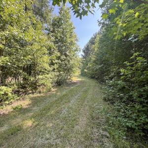 Photo #50 of SOLD property in Off Todd Road and Virgilina Road, Roxboro, NC 31.4 acres