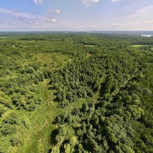Photo #2 of Off Taylor Farm Lane , Henderson, NC 41.3 acres