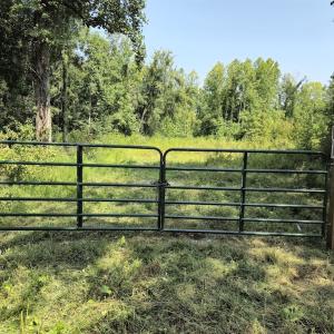 Photo #12 of Off Taylor Farm Lane , Henderson, NC 41.3 acres