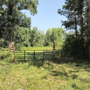 Photo #14 of Off Taylor Farm Lane , Henderson, NC 41.3 acres