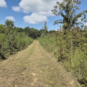Photo #16 of Off Taylor Farm Lane , Henderson, NC 41.3 acres