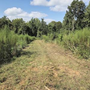 Photo #18 of Off Taylor Farm Lane , Henderson, NC 41.3 acres