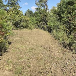 Photo #19 of Off Taylor Farm Lane , Henderson, NC 41.3 acres