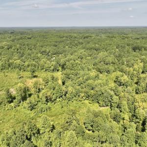 Photo #3 of Off Taylor Farm Lane , Henderson, NC 41.3 acres