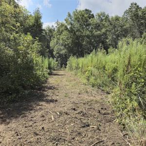 Photo #21 of Off Taylor Farm Lane , Henderson, NC 41.3 acres