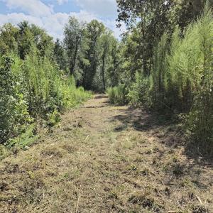 Photo #22 of Off Taylor Farm Lane , Henderson, NC 41.3 acres