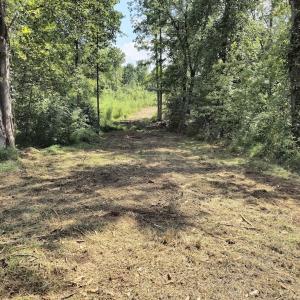 Photo #23 of Off Taylor Farm Lane , Henderson, NC 41.3 acres
