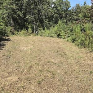 Photo #24 of Off Taylor Farm Lane , Henderson, NC 41.3 acres