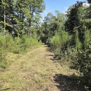 Photo #25 of Off Taylor Farm Lane , Henderson, NC 41.3 acres