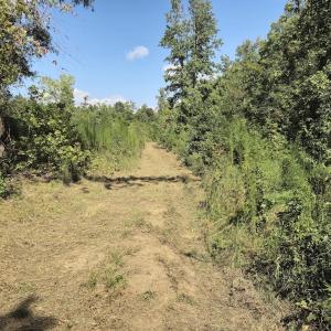 Photo #26 of Off Taylor Farm Lane , Henderson, NC 41.3 acres