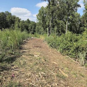 Photo #27 of Off Taylor Farm Lane , Henderson, NC 41.3 acres