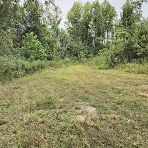 Photo #28 of Off Taylor Farm Lane , Henderson, NC 41.3 acres